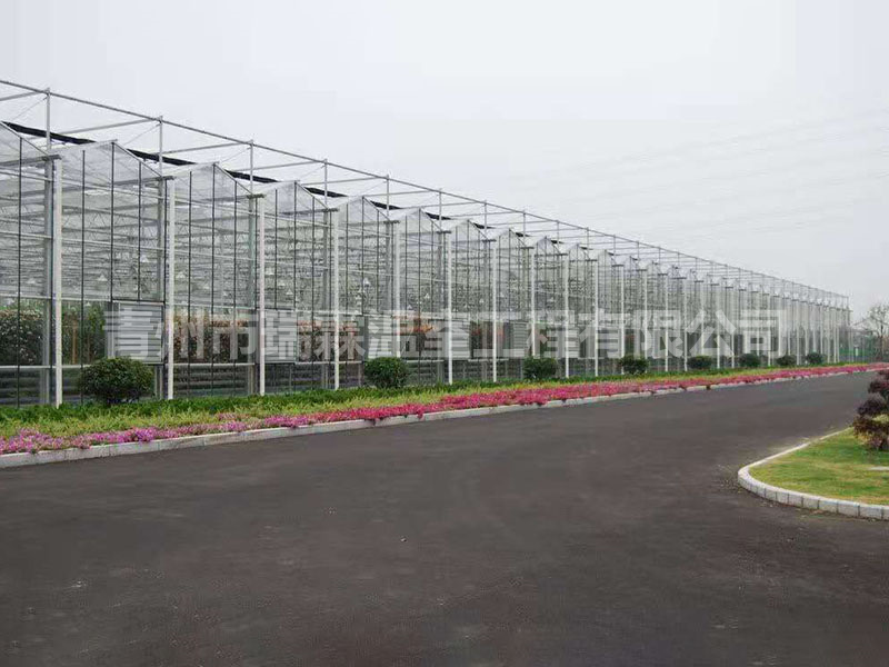 玻璃温室大棚 (1)