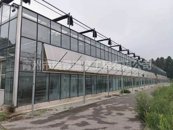 玻璃温室大棚