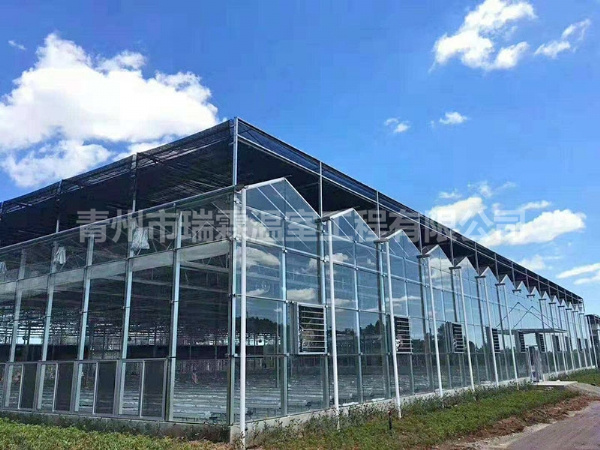 玻璃温室大棚