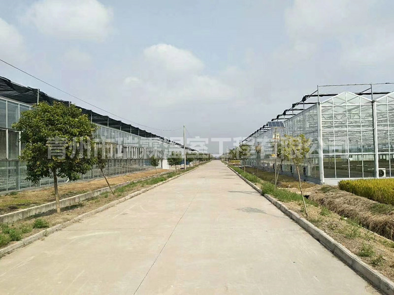 青岛胶南生态园