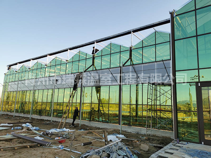 玻璃温室 (1)