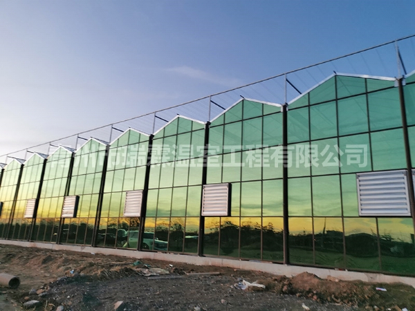 玻璃温室大棚