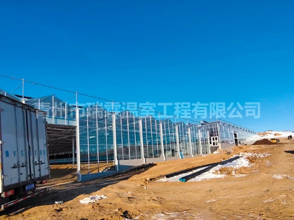 玻璃温室大棚