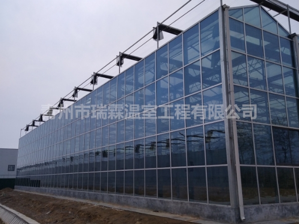 玻璃温室大棚