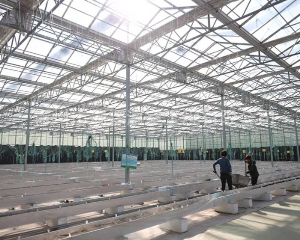 玻璃温室大棚