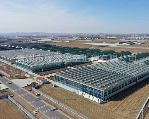 玻璃温室大棚