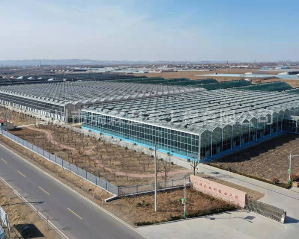 玻璃温室大棚